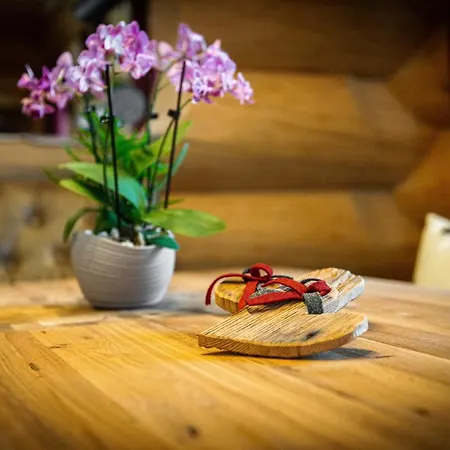 Alpenchalet St.ulrich *