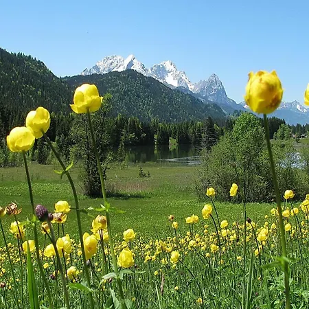 Alpenchalet St.ulrich Daire