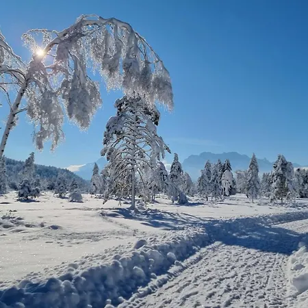 Alpenchalet St.ulrich * Krun