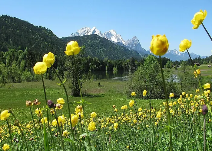 Alpenchalet St.ulrich 公寓